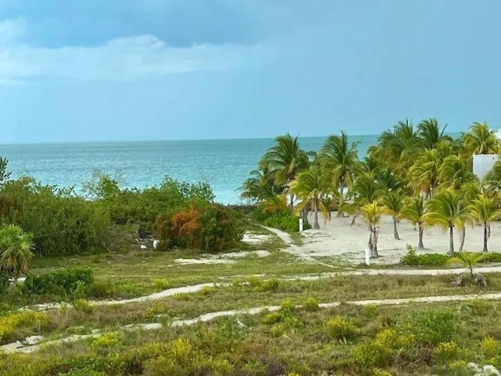 Holbox Te Quiero Luxury Suites Eksteriør billede
